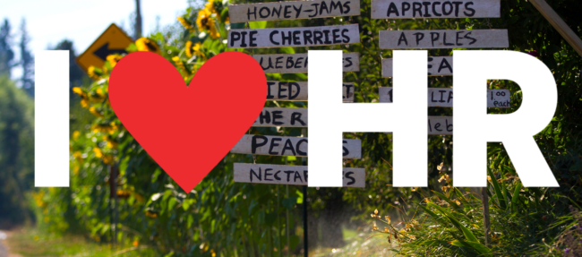 07b57473b1831944c70f5886bb236e94