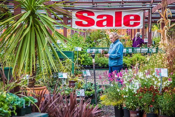 Nursery-sale-woman